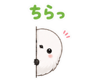 849603121