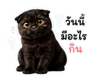 849604133