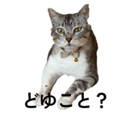 849607257