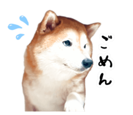 849612740