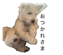 849613814