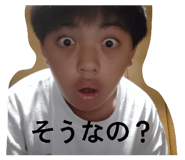 849616694