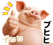 849620035