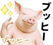849620036