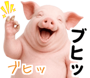 849620039