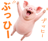 849620040