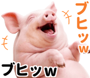 849620042