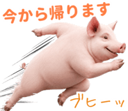 849620051