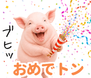 849620053
