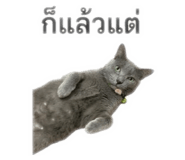849622144