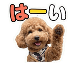 849627613