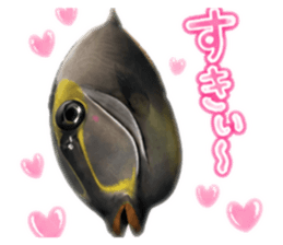 849650609