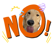 849650635