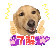 849650642