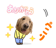 849650645