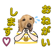 849650649
