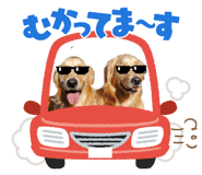 849650650