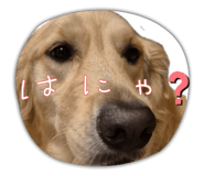 849650651