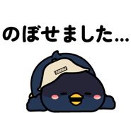 849651800