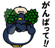 849651809