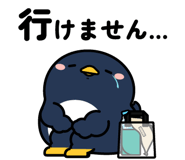 849651816