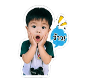 849652462