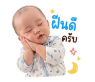 849653024