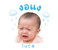 849656429