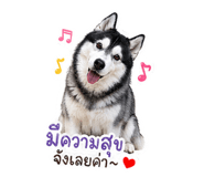849657960