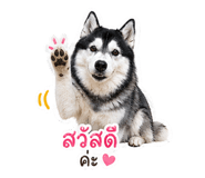 849657961