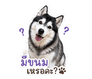 849657965