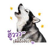 849657968