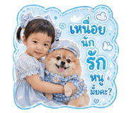 849671266