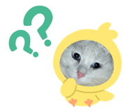 849673004