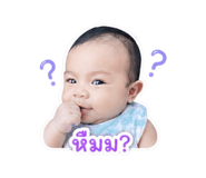 849676381