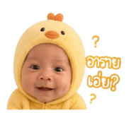 849688248