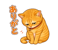 849695811