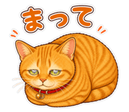 849695818