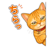 849695821
