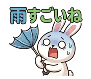 849698114