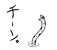 849699817