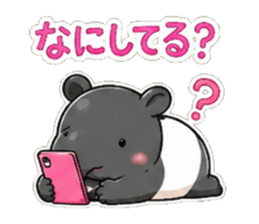 849700082