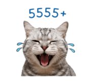849705331