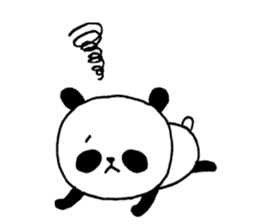 8497081