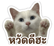 849709737