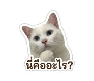 849709739