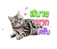 849710660