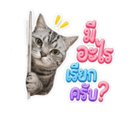 849710688