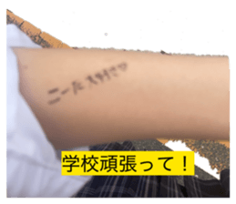849711184