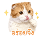 849724116